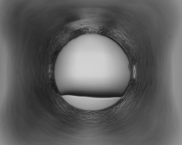 X0000088391395200705220751