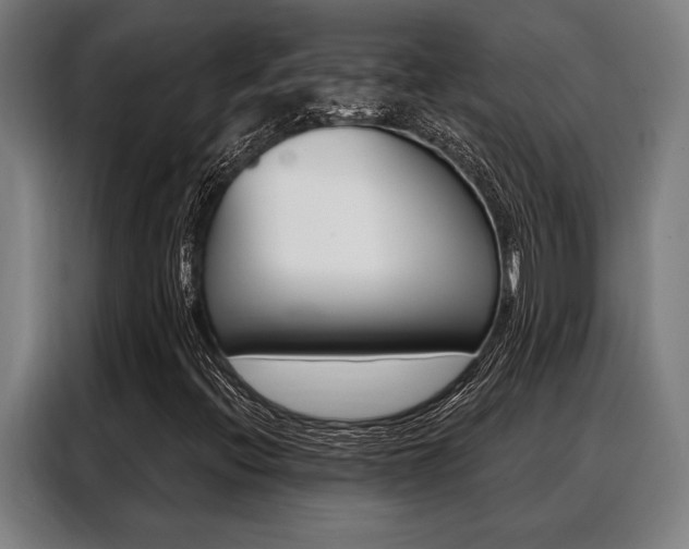 X0000088391396200705220751