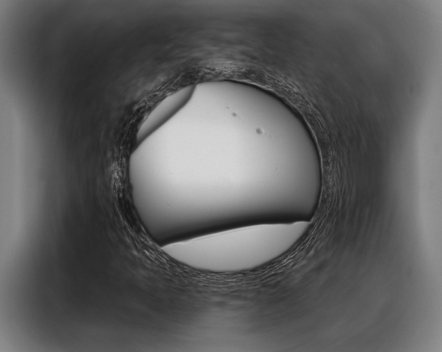 X0000088391397200705220751