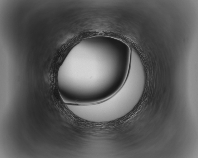 X0000088391398200705220751