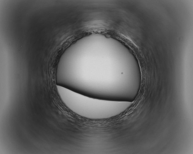 X0000088391399200705220751