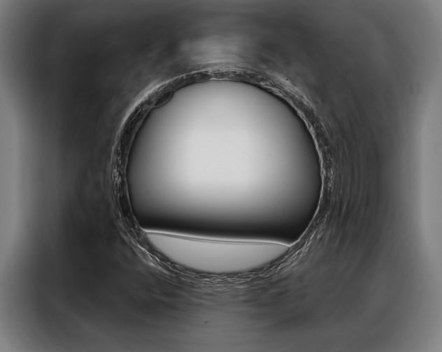 X0000088391400200705220752