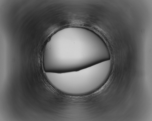 X0000088391401200705220752