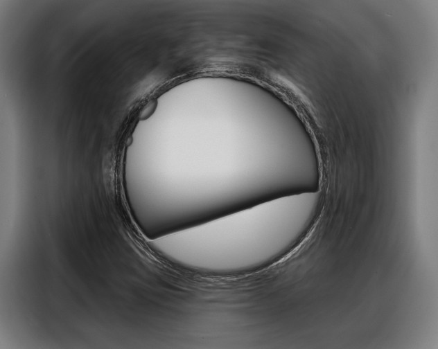 X0000088391403200705220752