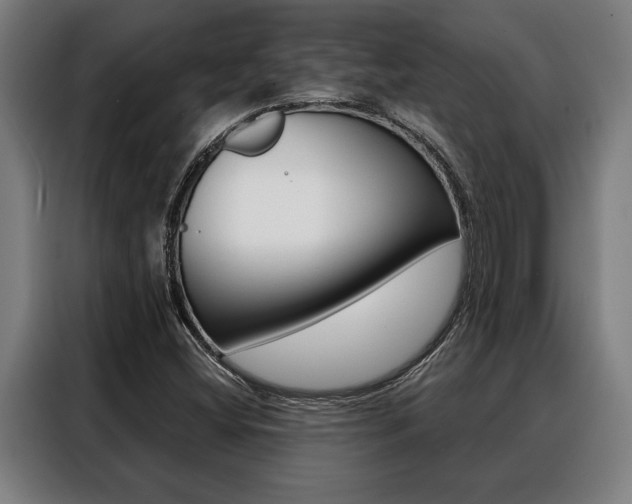 X0000088391404200705220752