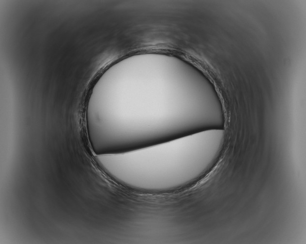 X0000088391405200705220752