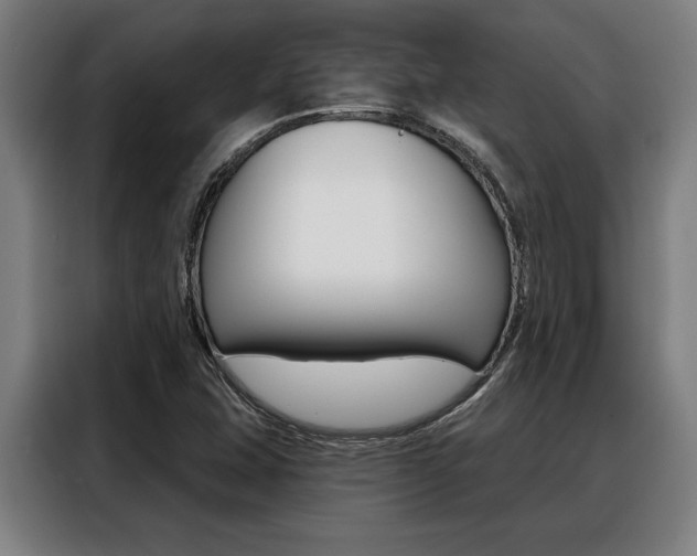 X0000088391407200705220752