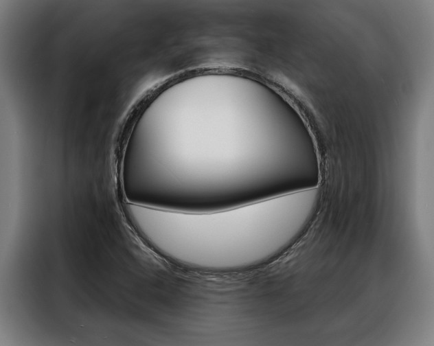 X0000088391408200705220752