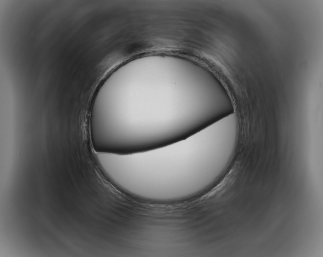 X0000088391409200705220752