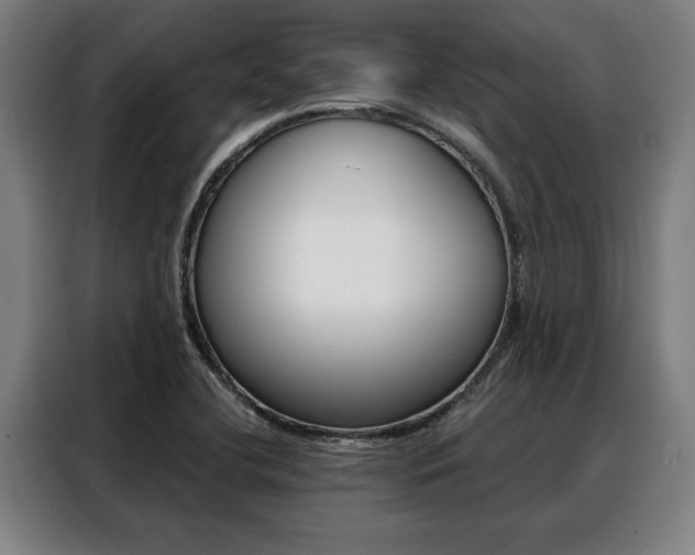 X0000088391412200705220752