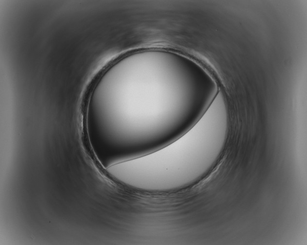 X0000088391414200705220752