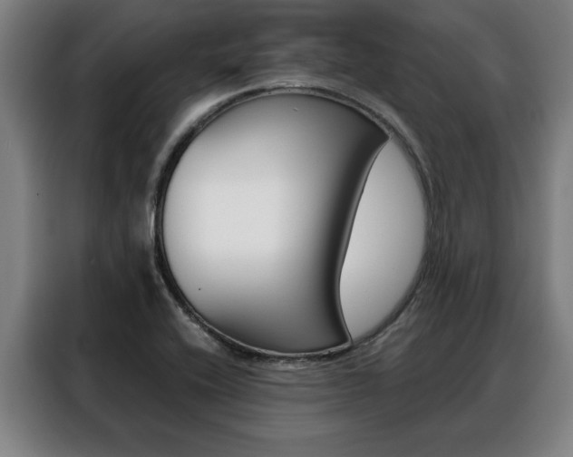 X0000088391416200705220752