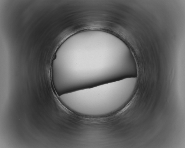 X0000088391417200705220752