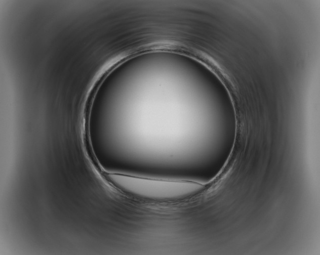 X0000088391418200705220752