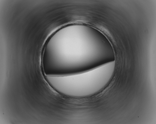 X0000088391420200705220752