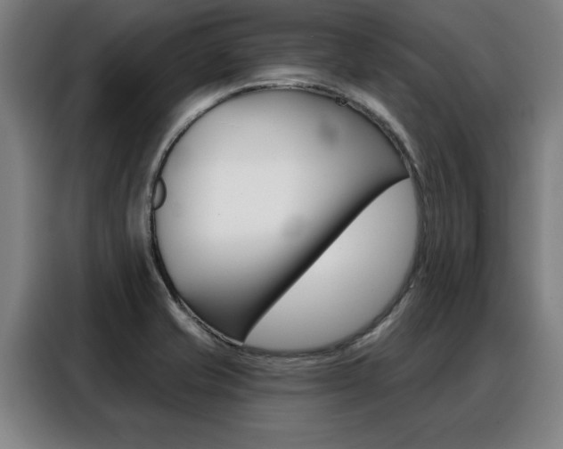 X0000088391421200705220752