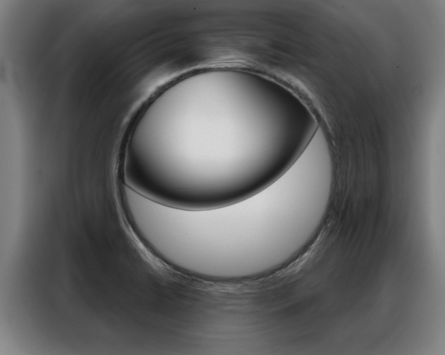 X0000088391422200705220752