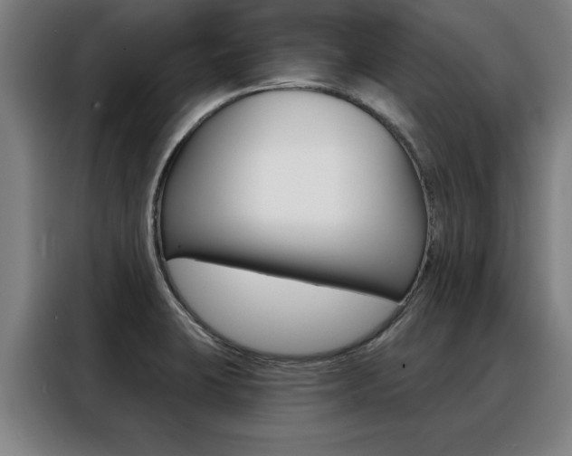 X0000088391423200705220752