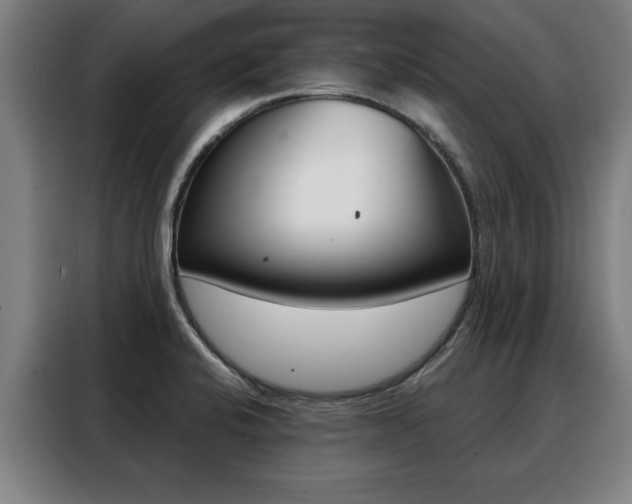 X0000088391424200705220752