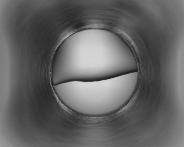 X0000088391425200705220752