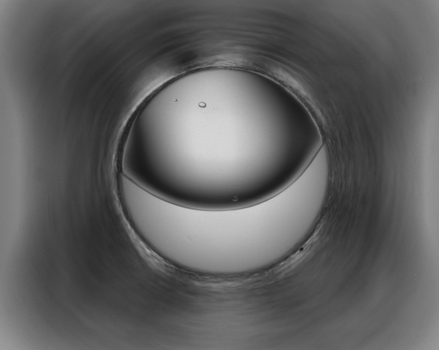 X0000088391426200705220752