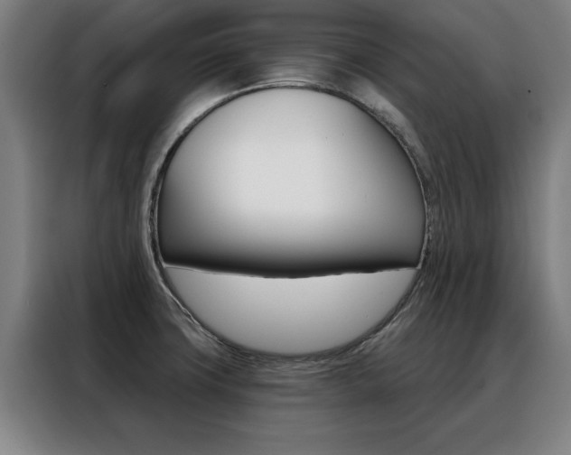 X0000088391427200705220752