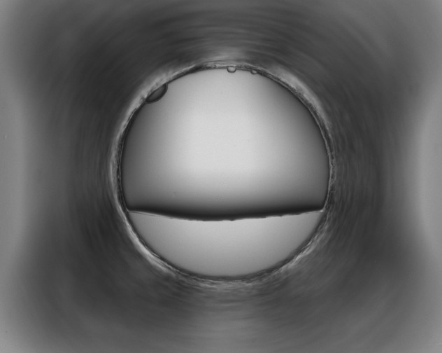 X0000088391429200705220752