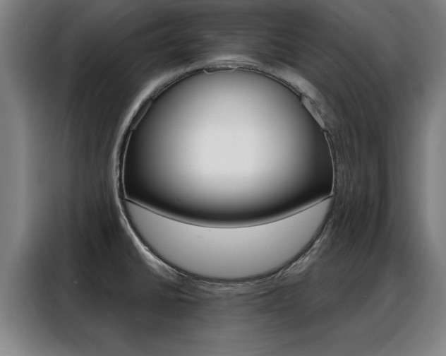 X0000088391430200705220752