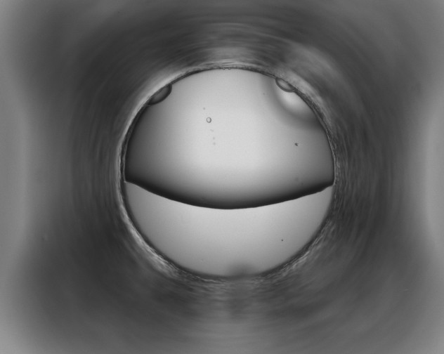 X0000088391431200705220752