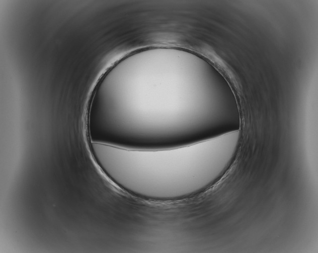 X0000088391432200705220752
