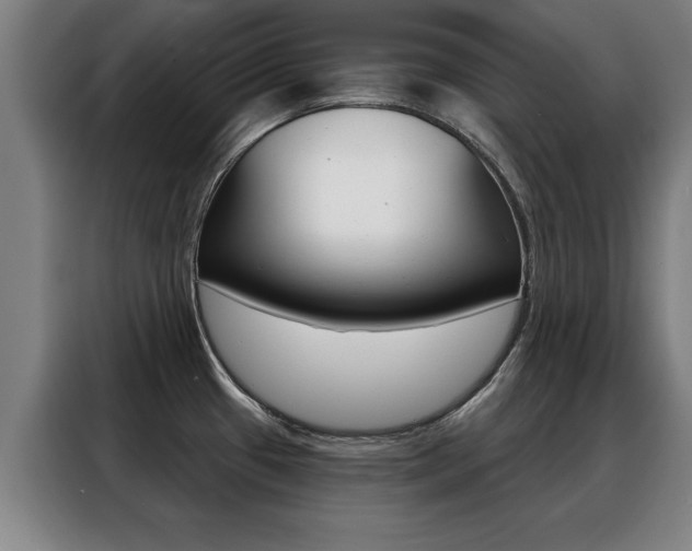 X0000088391433200705220752