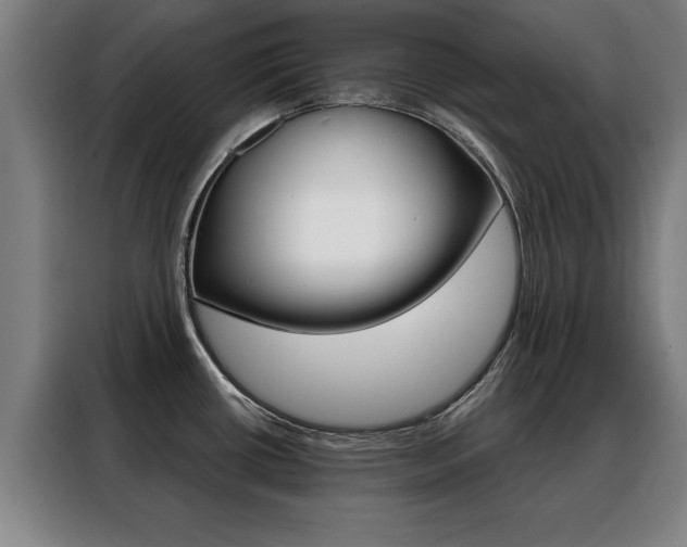 X0000088391434200705220752
