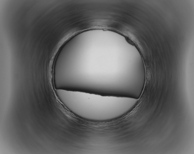 X0000088391435200705220752