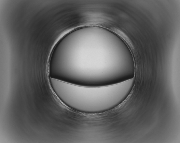 X0000088391436200705220752