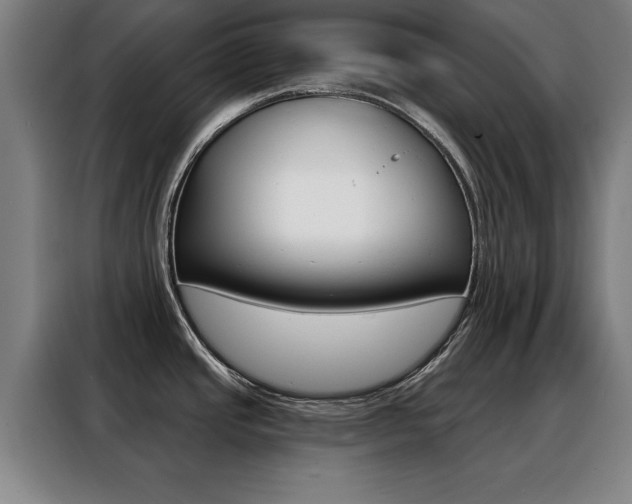 X0000088391437200705220752