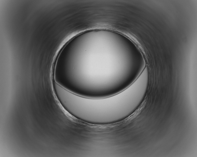 X0000088391438200705220752