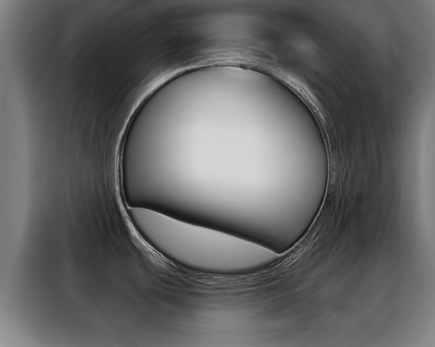 X0000088391439200705220752