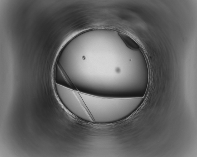 X0000088391440200705220752