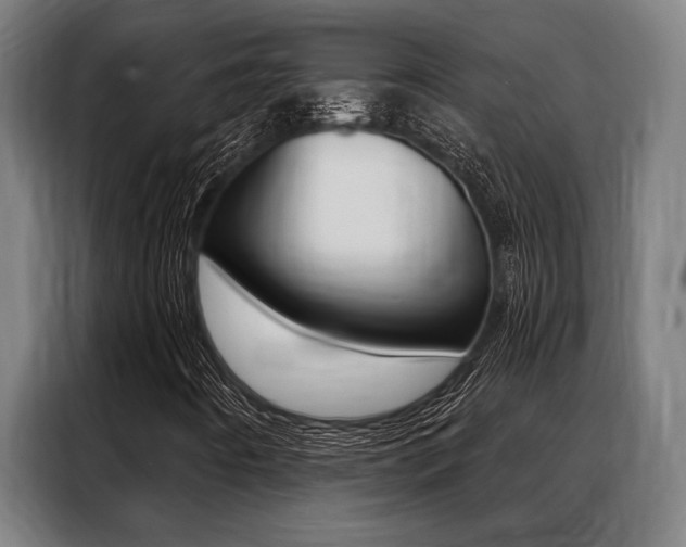 X0000088391442200705220751