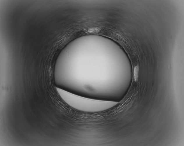 X0000088391443200705220751