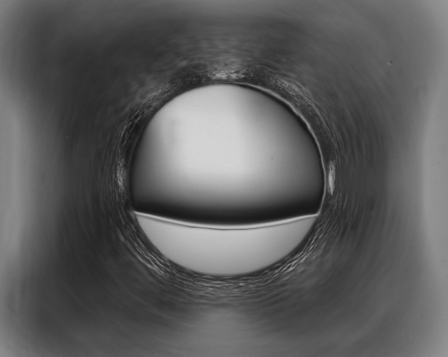 X0000088391444200705220751