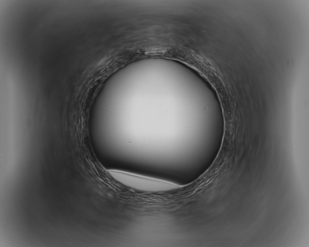 X0000088391445200705220751