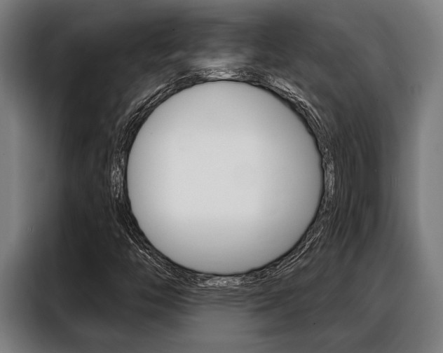 X0000088391446200705220751