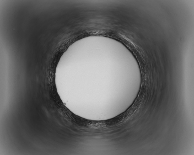 X0000088391447200705220751