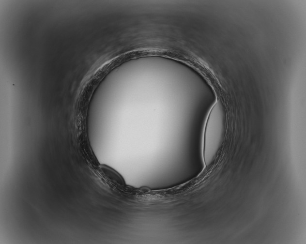 X0000088391448200705220751