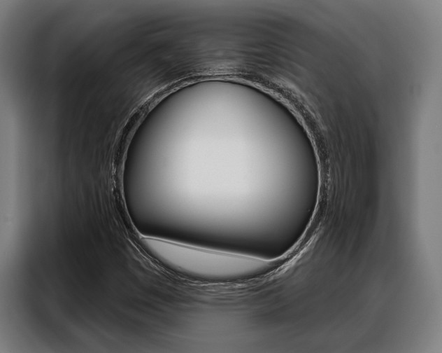X0000088391449200705220751