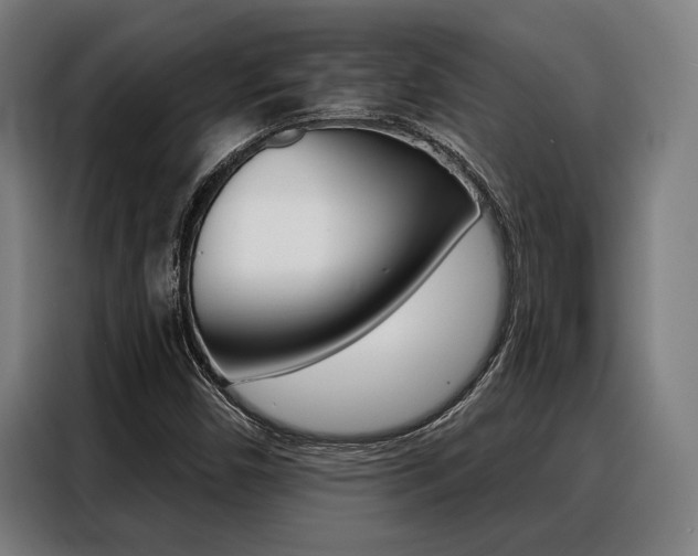 X0000088391450200705220751
