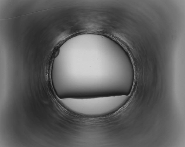 X0000088391451200705220751