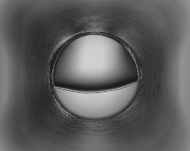 X0000088391452200705220751