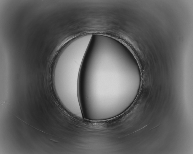 X0000088391453200705220751